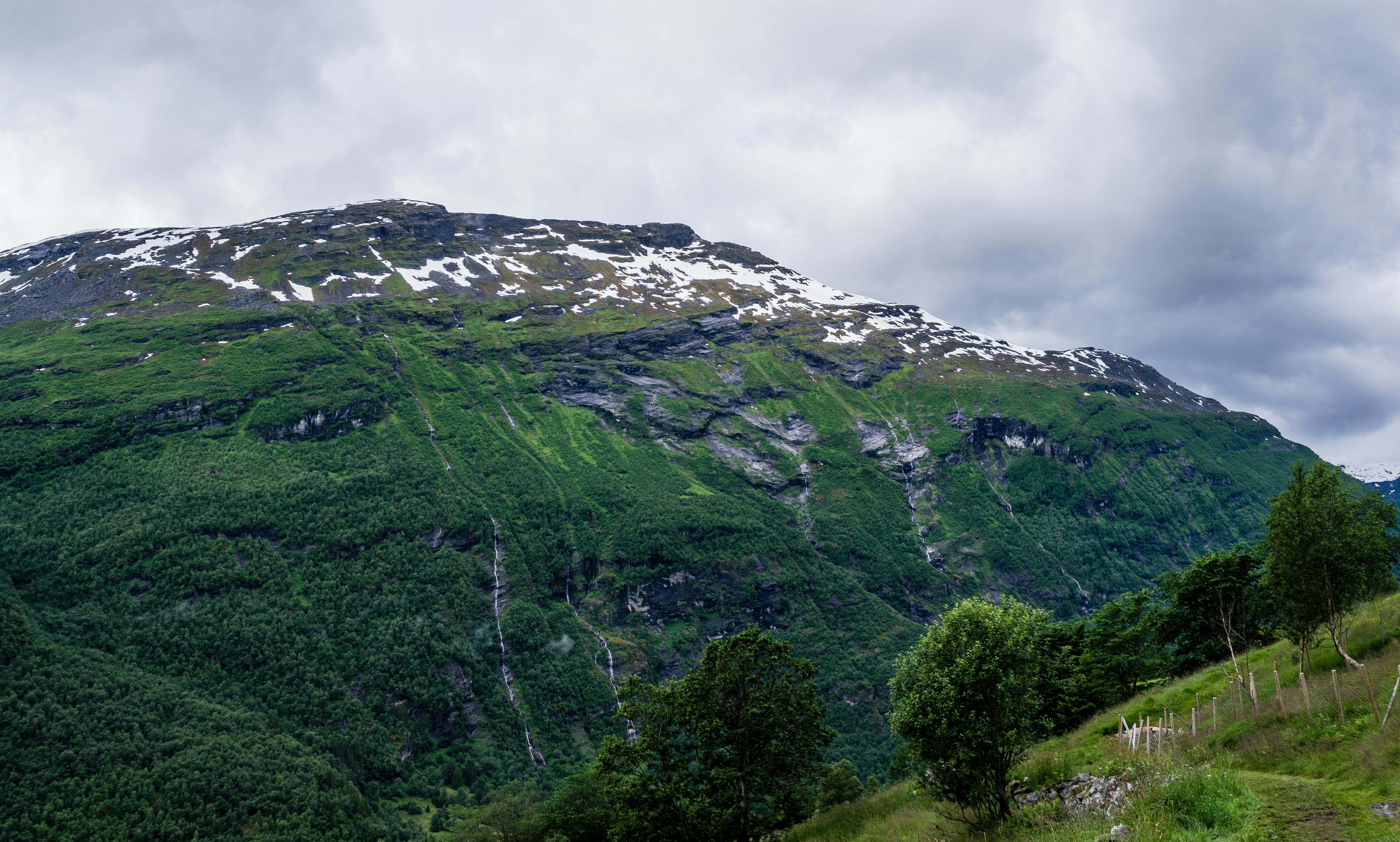 green plant covered mountain with ice caps under cloudy skies